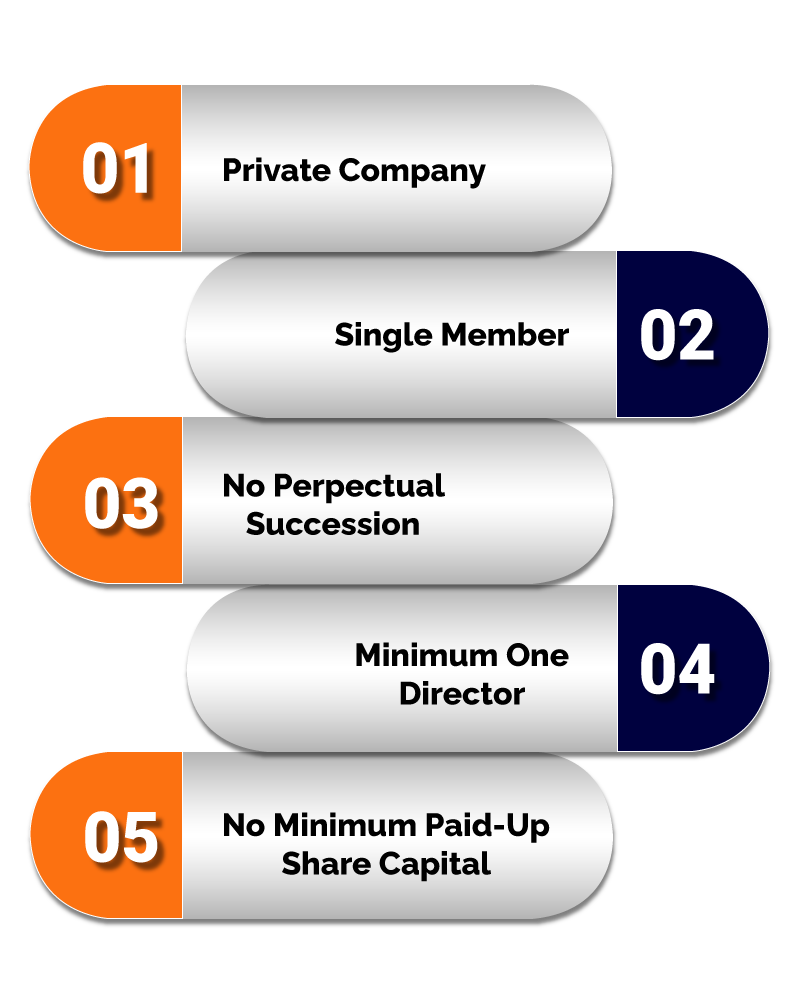 Features of One Person Company